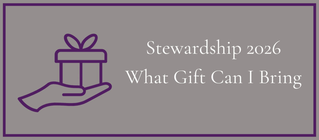 Stewardship 2026 (1640 x 724 px)